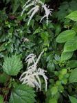IMG_1516.JPG