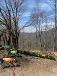 IMG_1911.JPG