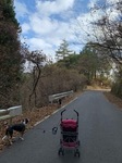 IMG_2130.JPG