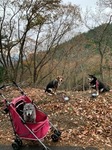 IMG_2274.JPG
