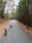 IMG_2275.JPG