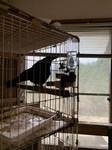 IMG_2280.JPG
