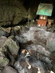 IMG_2455.JPG