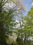 IMG_2492.jpg