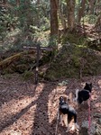 IMG_2756.JPG
