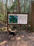 IMG_2757.JPG