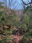 IMG_2761.JPG