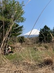 IMG_3227.JPG
