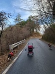 IMG_3496.JPG