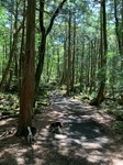 IMG_4053.JPG