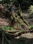 IMG_4059.JPG