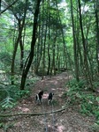 IMG_4353.JPG