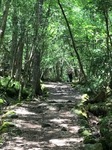 IMG_4357.JPG