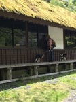 IMG_4358.JPG