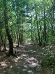 IMG_4359.JPG