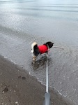 IMG_4620.JPG
