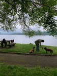 IMG_4623.JPG
