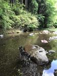 IMG_4725.JPG