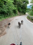 IMG_4817.JPG