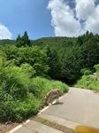 IMG_5176.JPG