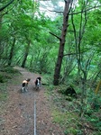 IMG_5337.JPG
