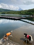 IMG_5339.JPG