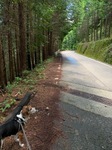 IMG_5594.JPG
