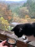 IMG_5715-a43cc.jpg