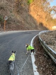 IMG_6498.JPG