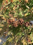 IMG_6507.JPG