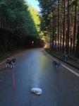 IMG_6932.JPG