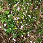 IMG_7147.JPG