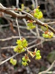 IMG_7704.JPG