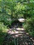 IMG_7759.JPG