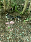 IMG_7762.JPG