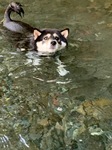 IMG_7768.JPG