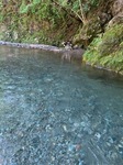 IMG_7771.JPG