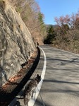 IMG_7886.JPG