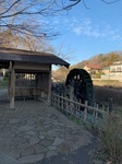 IMG_8098.JPG