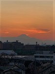 IMG_8111.JPG