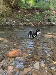IMG_8464.JPG