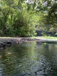 IMG_8465.JPG