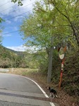 IMG_8749.JPG