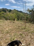 IMG_8753.JPG