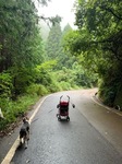 IMG_9600.JPG