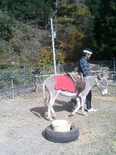 image/akiyamakoubou-2005-11-19T14:59:22-1.JPG