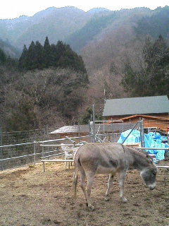 image/akiyamakoubou-2006-02-27T14:27:15-1.JPG