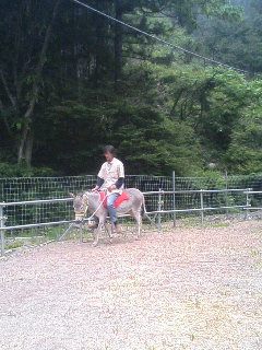 image/akiyamakoubou-2006-06-03T20:28:28-1.JPG