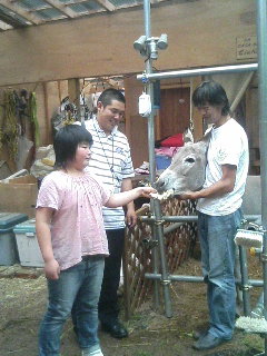 image/akiyamakoubou-2006-06-25T19:57:01-1.JPG
