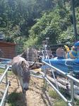 060804_1401~0001.jpg